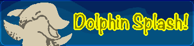 Dolphin Splash!